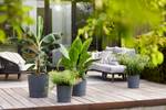 greensense aqua care round 43cm charcoal grey